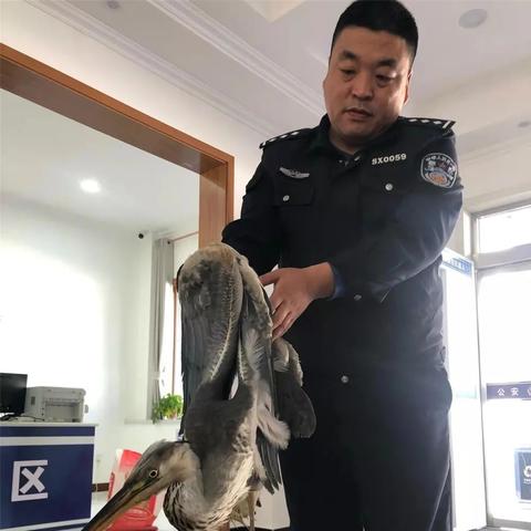 长治背部护理专业团队招聘启事——最新护理职位及职业发展机会详解
