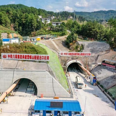 绝无仅有